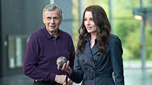 6. Bölüm
