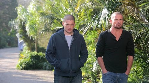 20. Bölüm izle