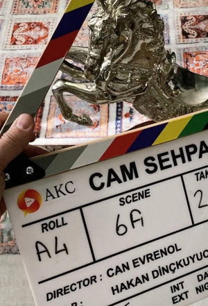 Cam Sehpa izle